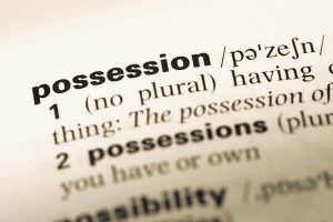 dictionary definition of possession