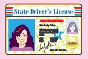 State Driver's License