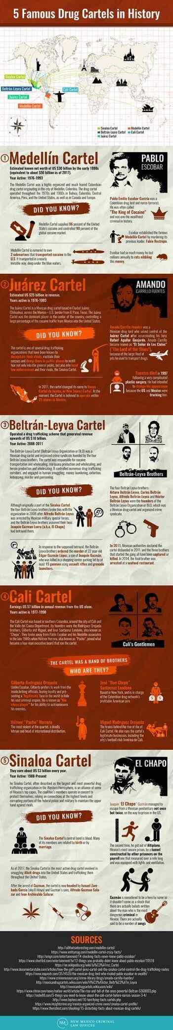 New Mexico Criminal Law Drug Cartel Infographic