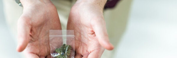 person-with-handcuff-holding-cannabis-in-a-small-plastic-container