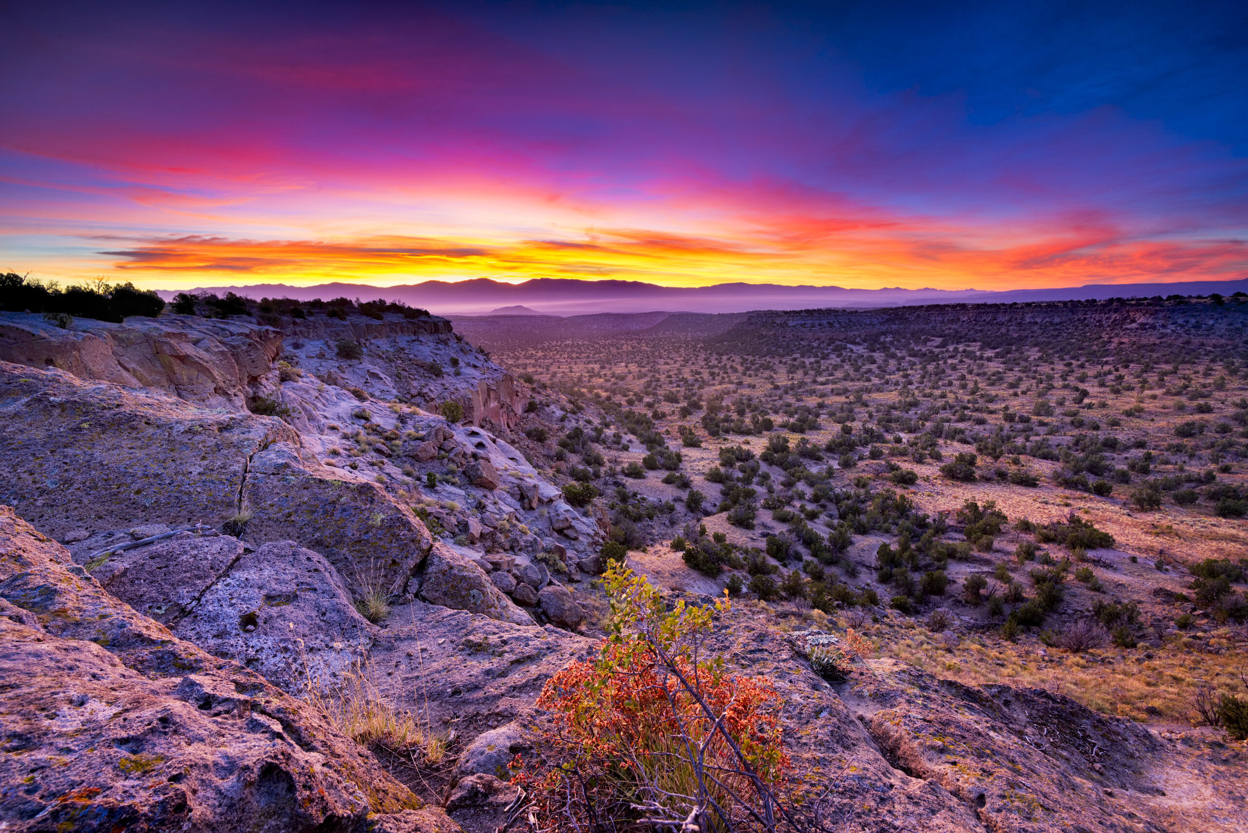 Is New Mexico a Stand your Ground state