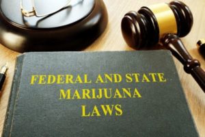 Federal and State Marijuana Laws and gavel in a law firm.