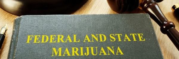 Federal and State Marijuana Laws and gavel in a court.